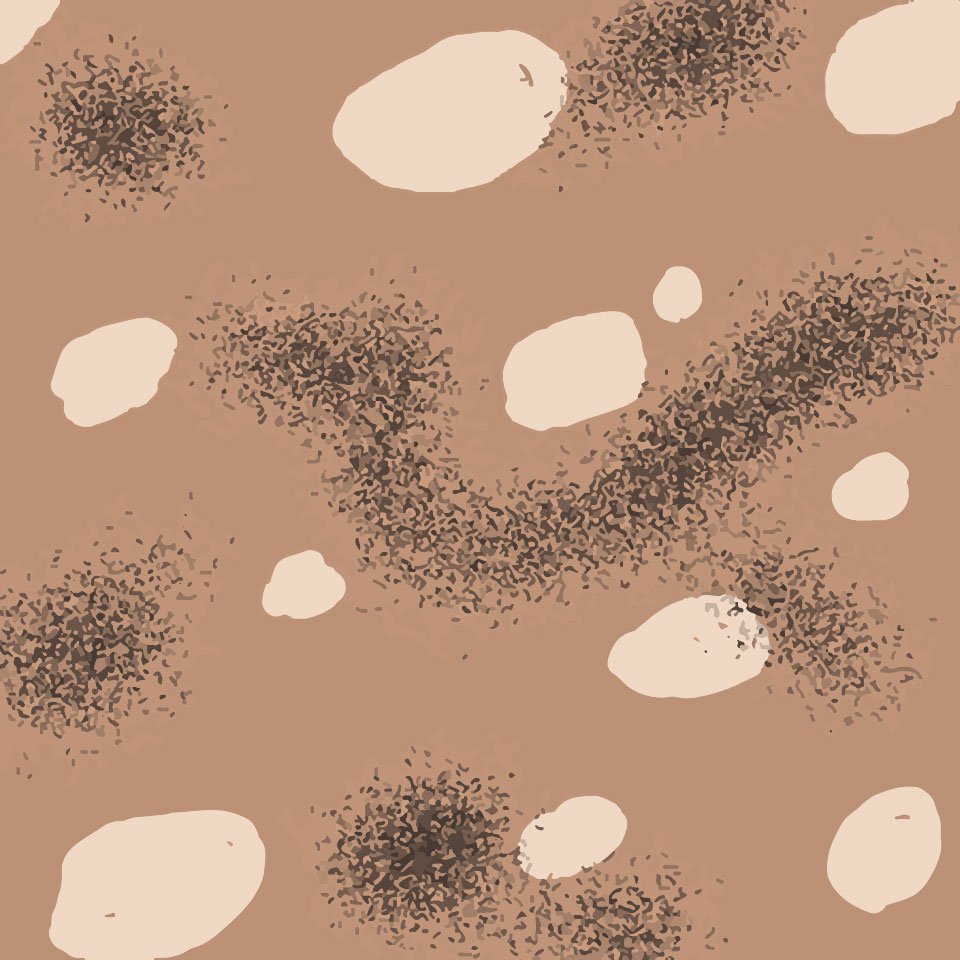 Desert 2